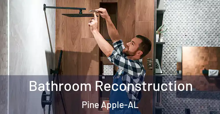 inner Bathroom imggen Bathroom Reconstruction Pine Apple-AL