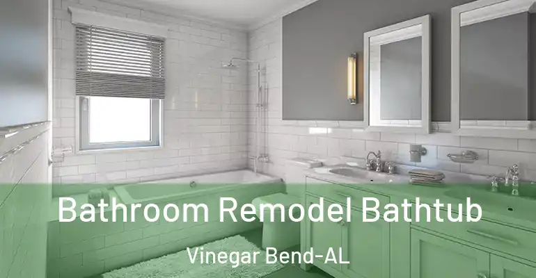 inner Bathroom imggen Bathroom Remodel Bathtub Vinegar Bend-AL