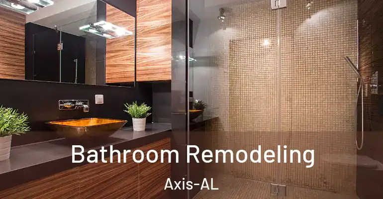 inner Bathroom imggen Bathroom Remodeling Axis-AL