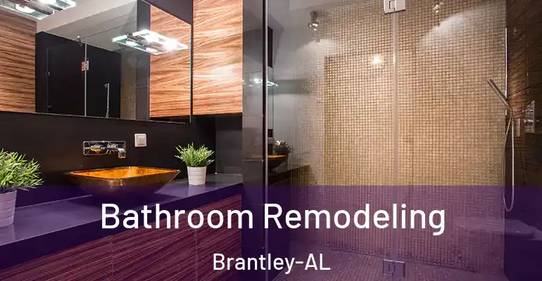 inner Bathroom imggen Bathroom Remodeling Brantley-AL