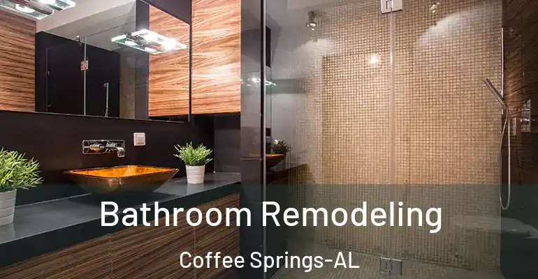 inner Bathroom imggen Bathroom Remodeling Coffee Springs-AL