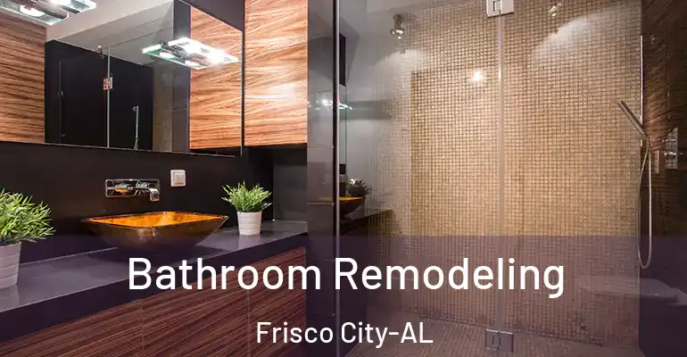 inner Bathroom imggen Bathroom Remodeling Frisco City-AL
