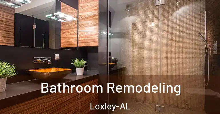 inner Bathroom imggen Bathroom Remodeling Loxley-AL