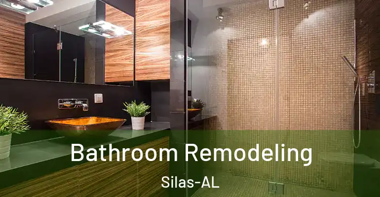 inner Bathroom imggen Bathroom Remodeling Silas-AL