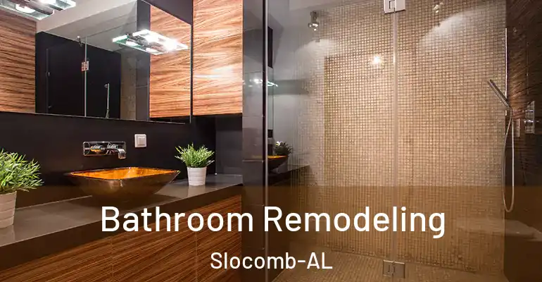 inner Bathroom imggen Bathroom Remodeling Slocomb-AL