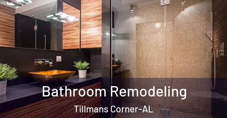 inner Bathroom imggen Bathroom Remodeling Tillmans Corner-AL