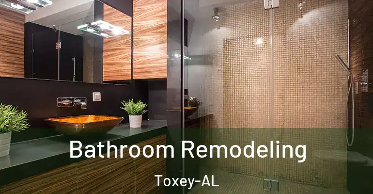 inner Bathroom imggen Bathroom Remodeling Toxey-AL
