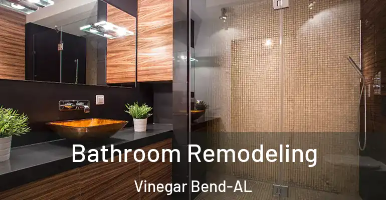 inner Bathroom imggen Bathroom Remodeling Vinegar Bend-AL