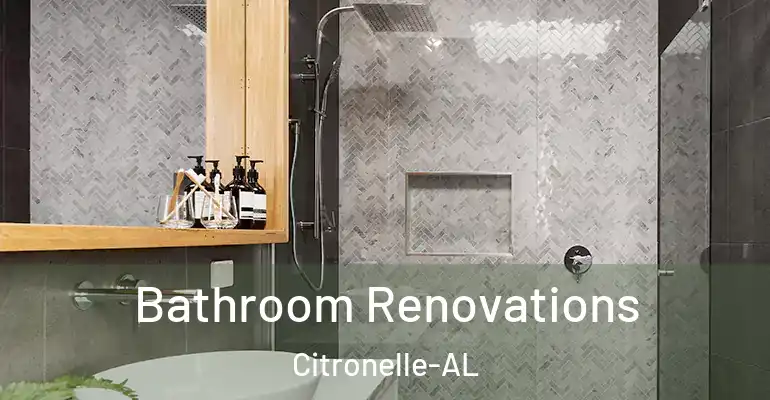 inner Bathroom imggen Bathroom Renovations Citronelle-AL