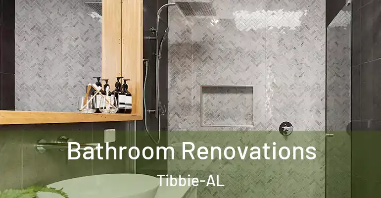 inner Bathroom imggen Bathroom Renovations Tibbie-AL