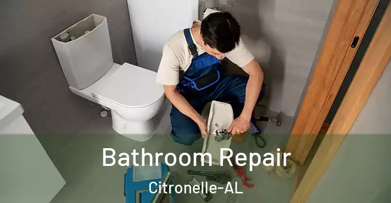 inner Bathroom imggen Bathroom Repair Citronelle-AL