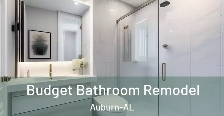 inner Bathroom imggen Budget Bathroom Remodel Auburn-AL