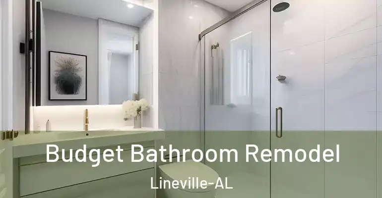 inner Bathroom imggen Budget Bathroom Remodel Lineville-AL