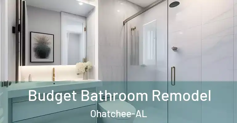 inner Bathroom imggen Budget Bathroom Remodel Ohatchee-AL