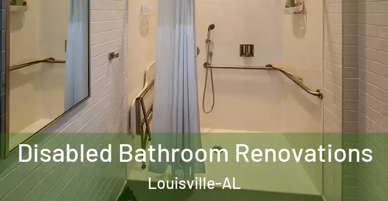 inner Bathroom imggen Disabled Bathroom Renovations Louisville-AL