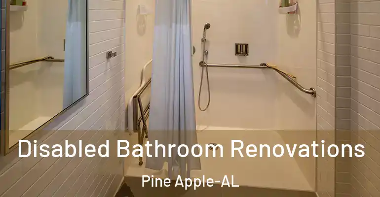 inner Bathroom imggen Disabled Bathroom Renovations Pine Apple-AL