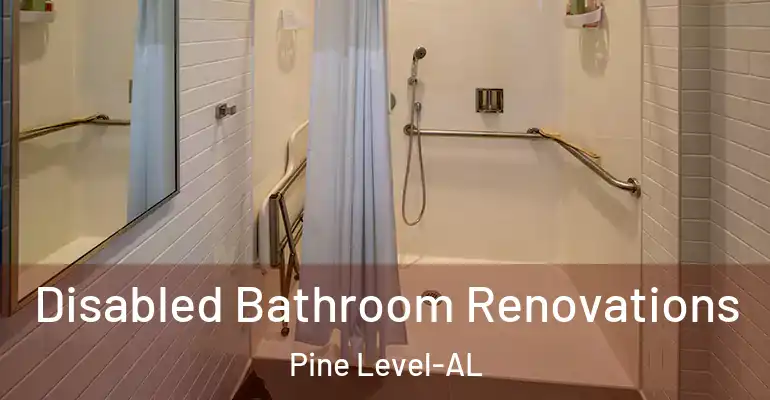 inner Bathroom imggen Disabled Bathroom Renovations Pine Level-AL