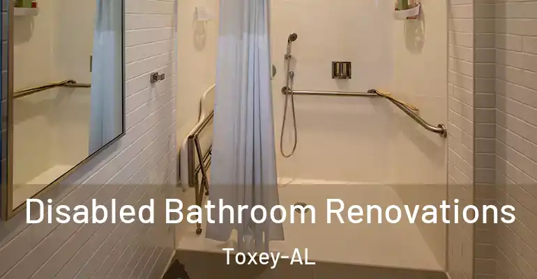 inner Bathroom imggen Disabled Bathroom Renovations Toxey-AL