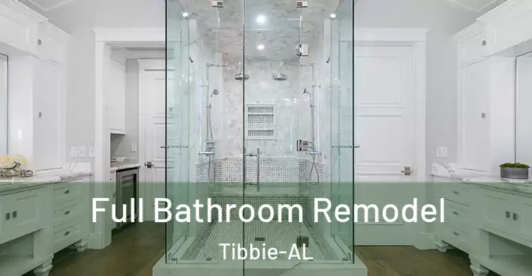 inner Bathroom imggen Full Bathroom Remodel Tibbie-AL