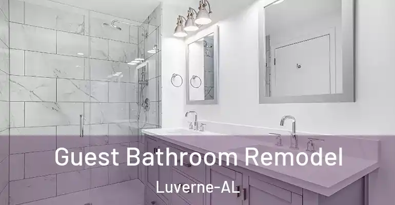 inner Bathroom imggen Guest Bathroom Remodel Luverne-AL