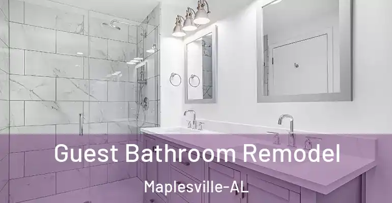 inner Bathroom imggen Guest Bathroom Remodel Maplesville-AL