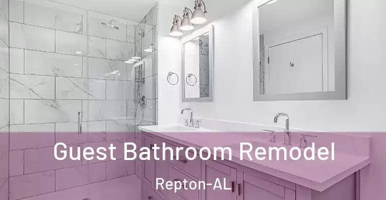 inner Bathroom imggen Guest Bathroom Remodel Repton-AL