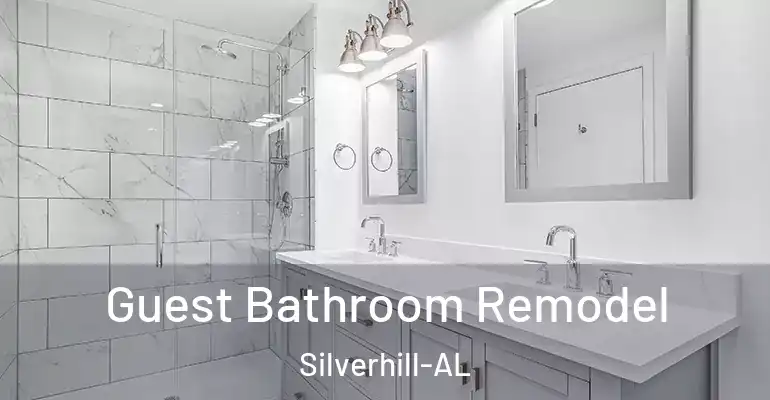 inner Bathroom imggen Guest Bathroom Remodel Silverhill-AL