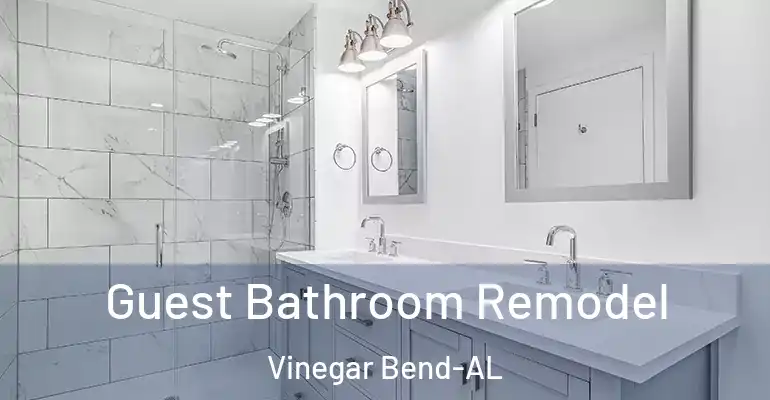 inner Bathroom imggen Guest Bathroom Remodel Vinegar Bend-AL
