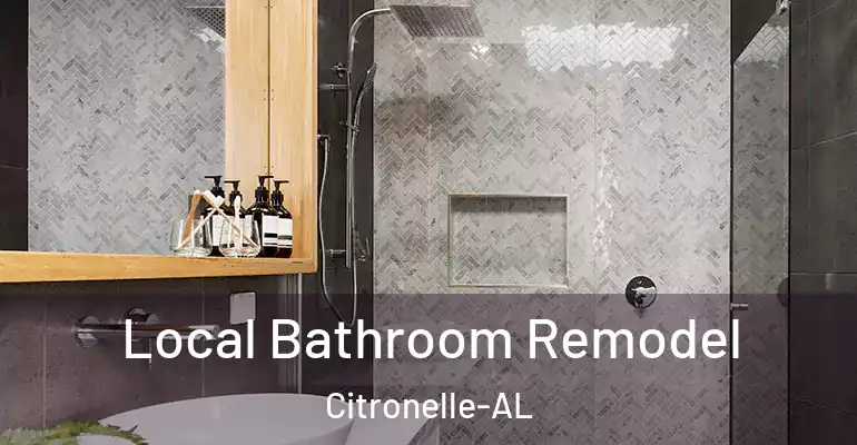 inner Bathroom imggen Local Bathroom Remodel Citronelle-AL