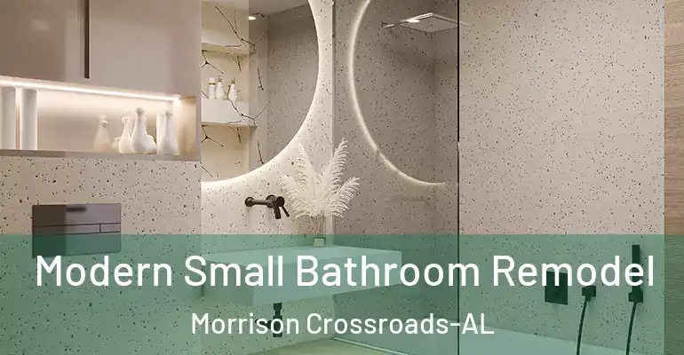 inner Bathroom imggen Modern Small Bathroom Remodel Morrison Crossroads-AL