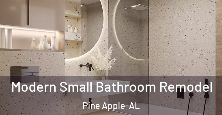 inner Bathroom imggen Modern Small Bathroom Remodel Pine Apple-AL