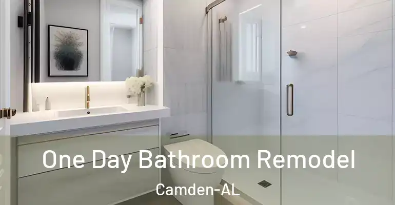 inner Bathroom imggen One Day Bathroom Remodel Camden-AL
