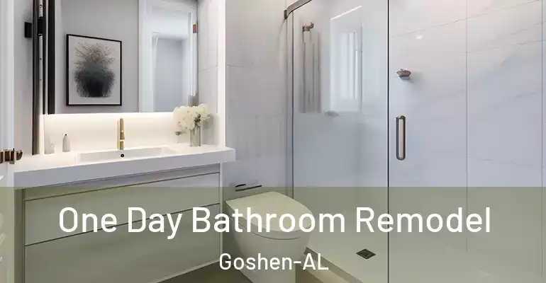 inner Bathroom imggen One Day Bathroom Remodel Goshen-AL