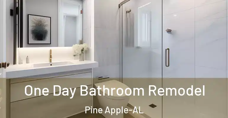 inner Bathroom imggen One Day Bathroom Remodel Pine Apple-AL