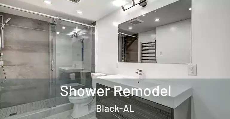inner Bathroom imggen Shower Remodel Black-AL