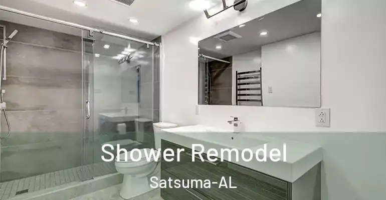 inner Bathroom imggen Shower Remodel Satsuma-AL