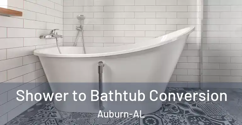 inner Bathroom imggen Shower to Bathtub Conversion Auburn-AL