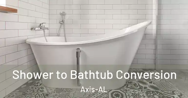 inner Bathroom imggen Shower to Bathtub Conversion Axis-AL