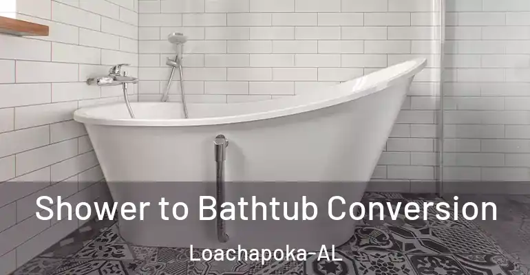 inner Bathroom imggen Shower to Bathtub Conversion Loachapoka-AL