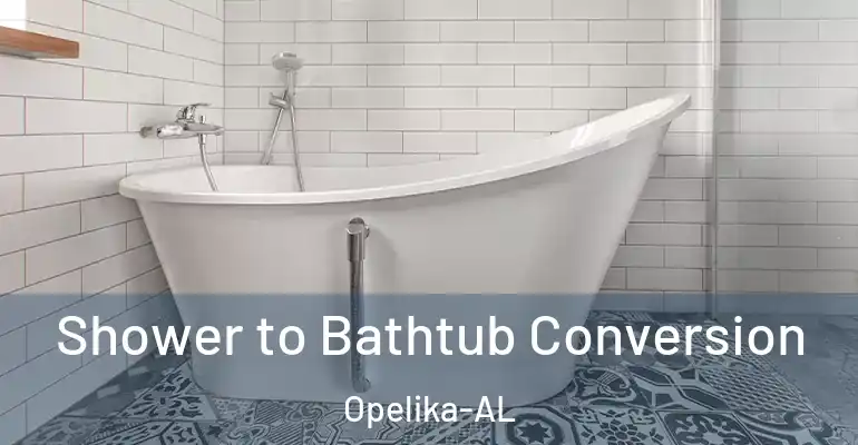 inner Bathroom imggen Shower to Bathtub Conversion Opelika-AL