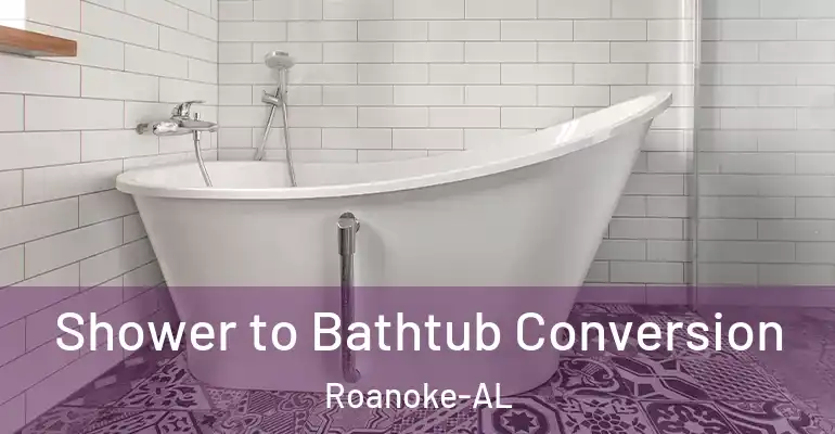 inner Bathroom imggen Shower to Bathtub Conversion Roanoke-AL