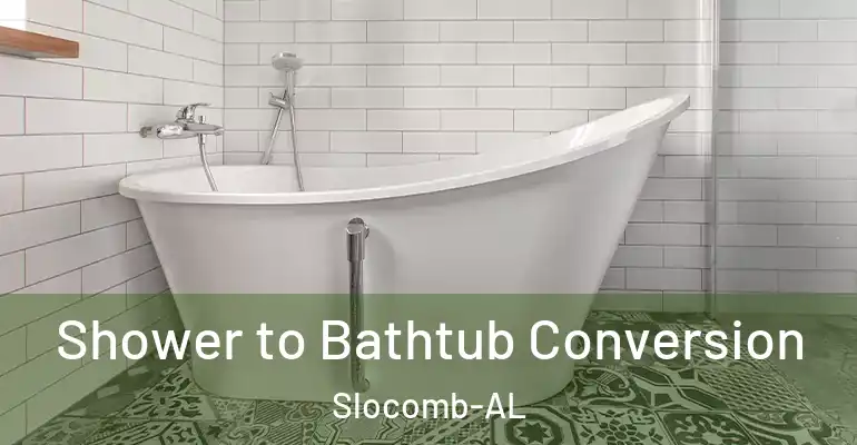 inner Bathroom imggen Shower to Bathtub Conversion Slocomb-AL