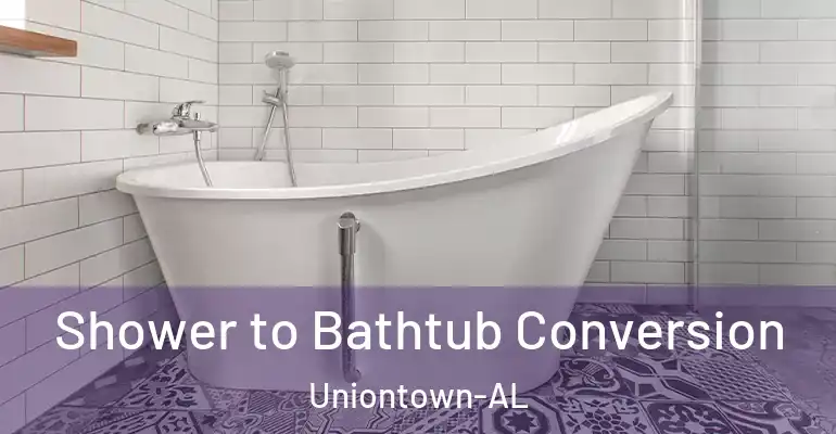 inner Bathroom imggen Shower to Bathtub Conversion Uniontown-AL