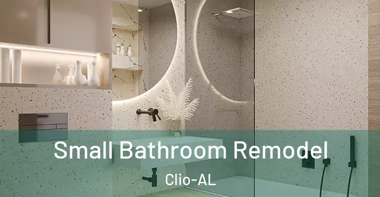 inner Bathroom imggen Small Bathroom Remodel Clio-AL