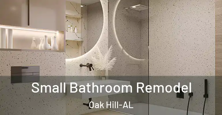 inner Bathroom imggen Small Bathroom Remodel Oak Hill-AL