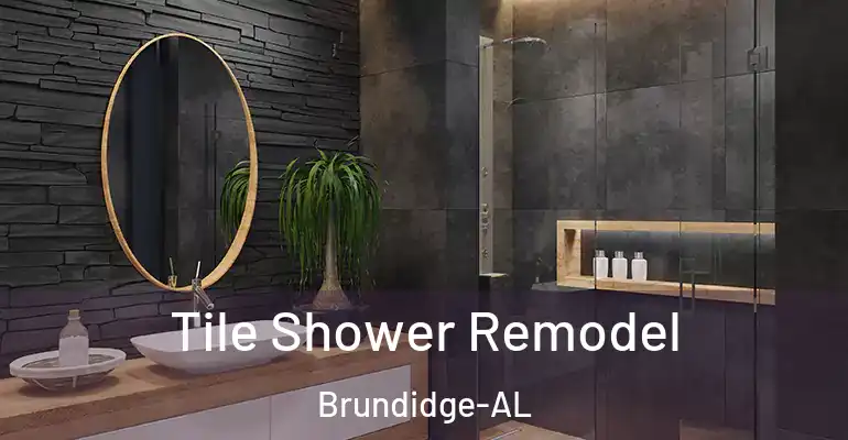 inner Bathroom imggen Tile Shower Remodel Brundidge-AL