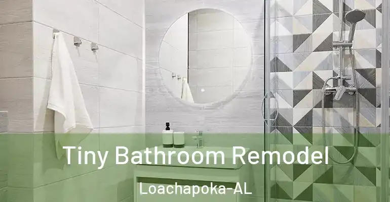 inner Bathroom imggen Tiny Bathroom Remodel Loachapoka-AL