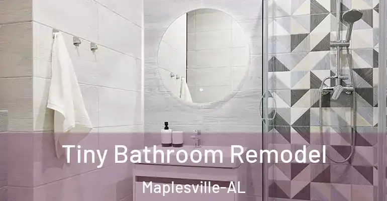 inner Bathroom imggen Tiny Bathroom Remodel Maplesville-AL