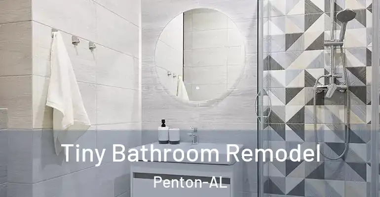 inner Bathroom imggen Tiny Bathroom Remodel Penton-AL