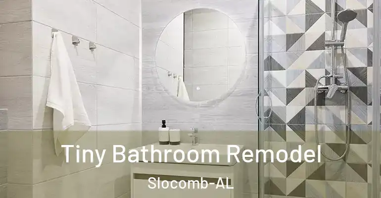 inner Bathroom imggen Tiny Bathroom Remodel Slocomb-AL